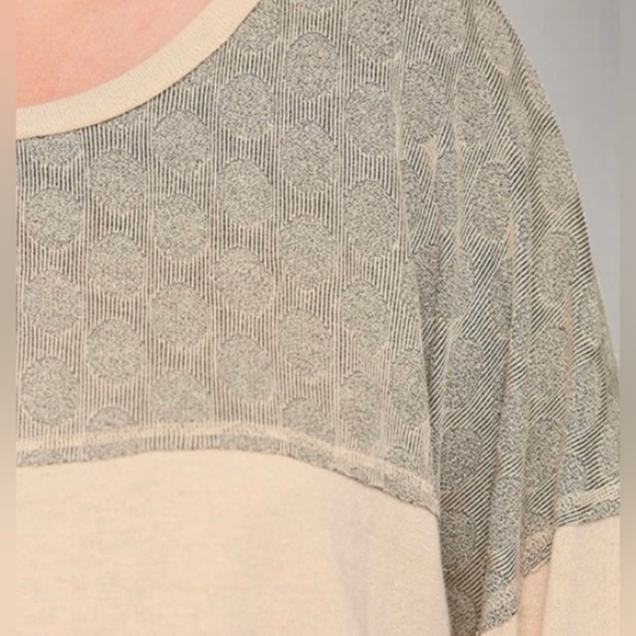 Dotted Contrast and Solid Knit Drop Shoulder - Picture 6 of 6